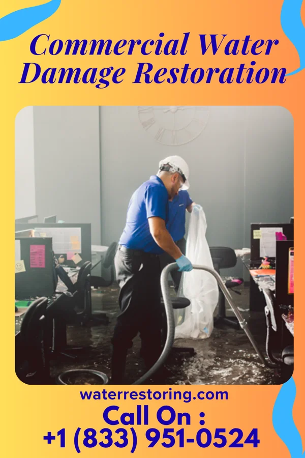 Commercial Water Damage Restoration in Carlton, MT