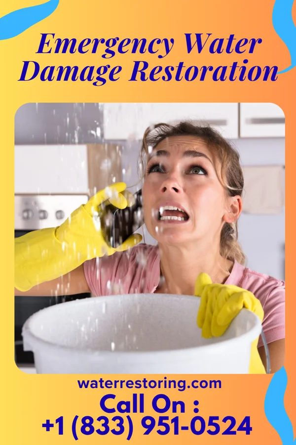 Emergency Water Damage Restoration in Carlton, MT