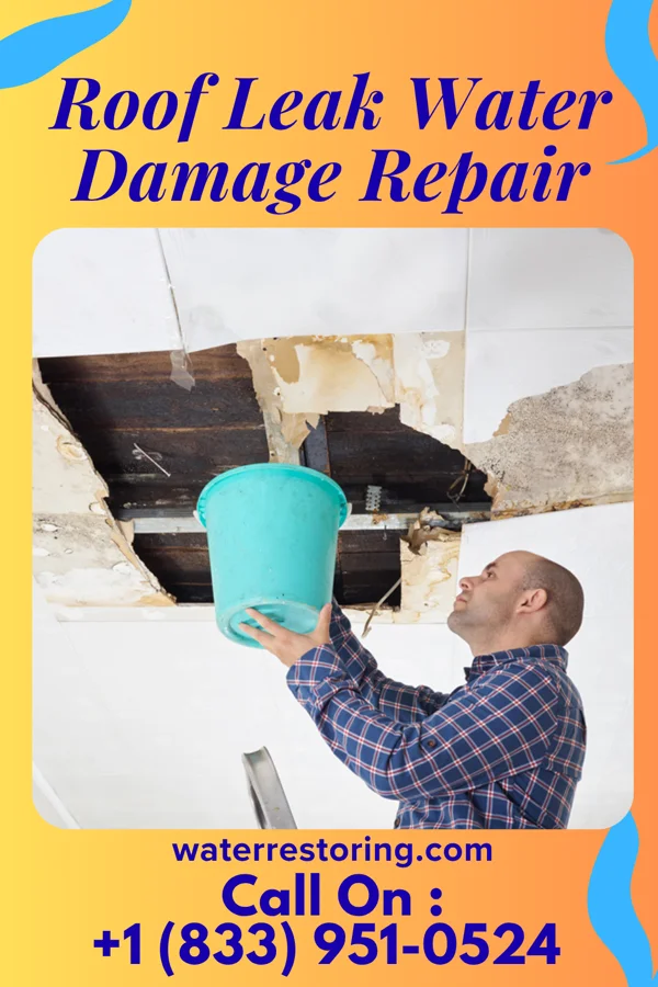 Roof Leak Water Damage Repair in Carlton, MT
